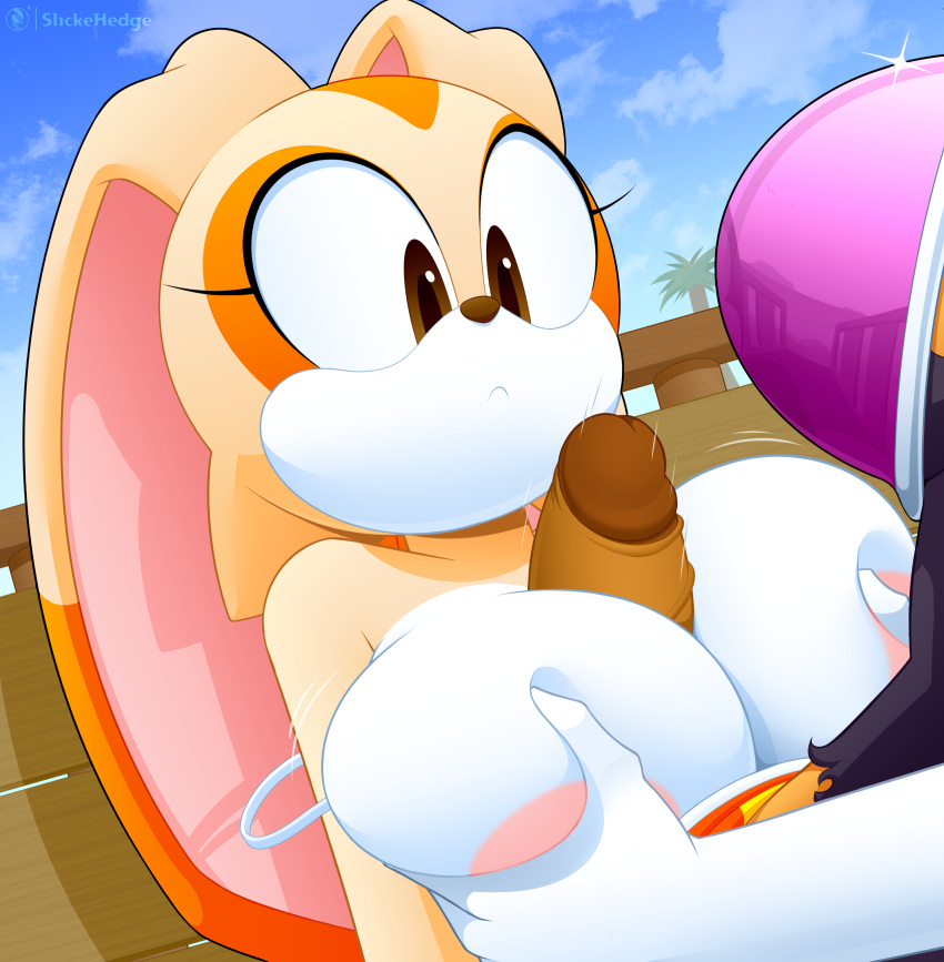 1futa 1girl 拟人化 蝙蝠 大乳房 乳房游戏 乳房 奶油兔子 量耳 双耳标记 睫毛 无脸角色 无脸女性形 无脸双性人 女性 软耳朵 生殖器 女性形 女性形 手放在乳房 大乳房 人形生殖器 人形阴茎 双性人 双性人/女性 兔形动物 兔科动物 长耳 垂耳 哺乳动物 五彩耳朵 paizuri 阴茎 兔子 rouge_the_bat sega 性爱 slickehedge sonic_the_hedgehog_(系列) 年轻 年轻拟人化 年轻女性